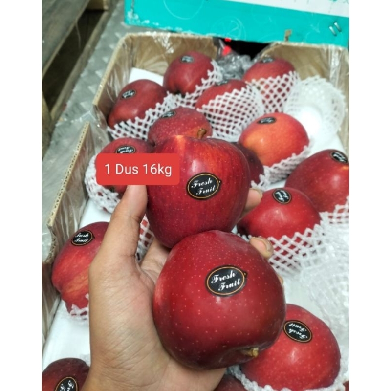 

Buah apel red dell China per 1 dus 16kg buah