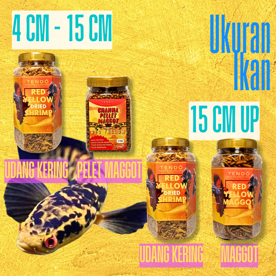 Pakan Channa Maru YS Premium Maggot Kering Udang Pelet Warna Bunga Channa Yellow Sentarum Tendo