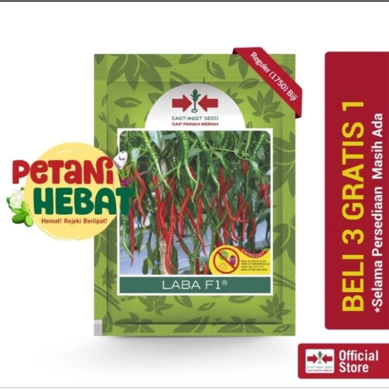 CABAI KERITING LABA F1 || PANAH MERAH