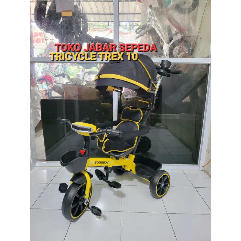 Sepeda Anak Roda 3 Laki Laki TREX 10