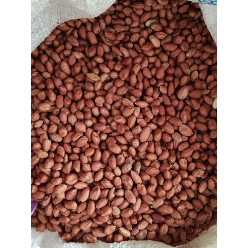 

kacang tanah TJ 250gram