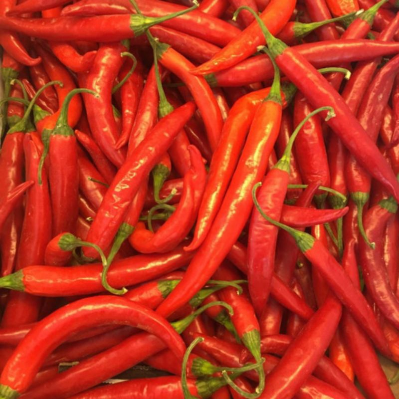 

Cabai merah Besar Fresh