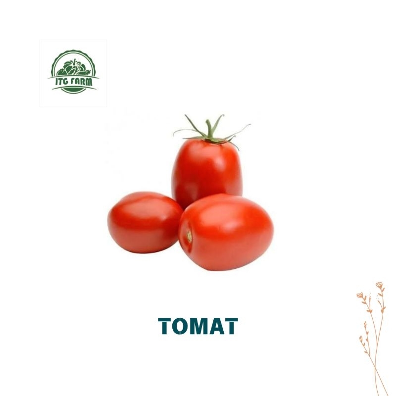 

Tomat segar 500gram