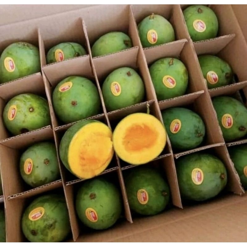 

Mangga Alpukat 5kg