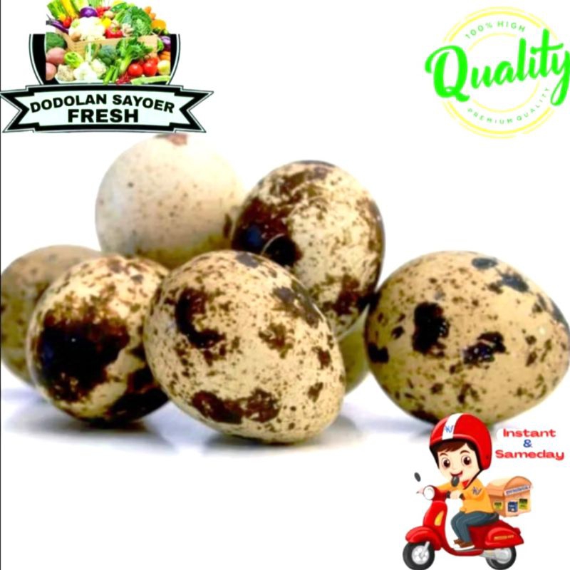 

Telur Puyuh 20pcs telur Fresh pilihan