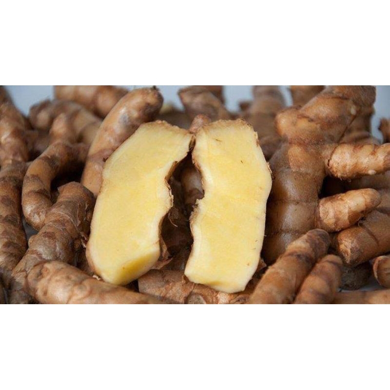 

Temu putih Segar 250gr