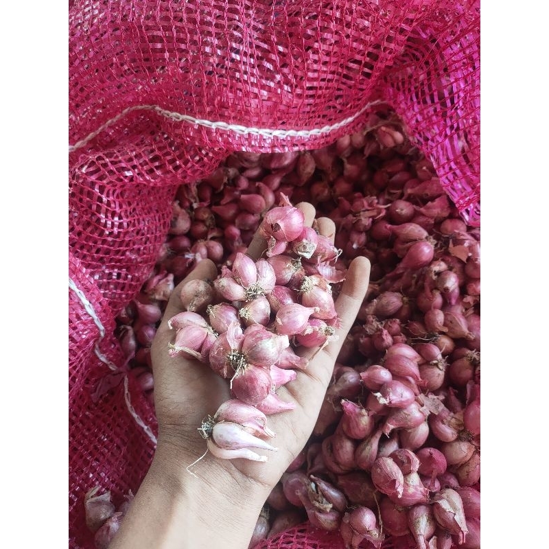 

Bawang Merah 1Kg kering berkualitas