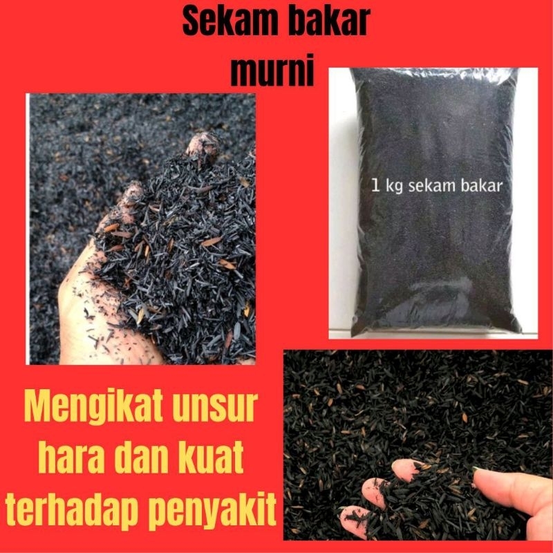 JAMIN ASLI.. Sekam Bakar Murni Halus