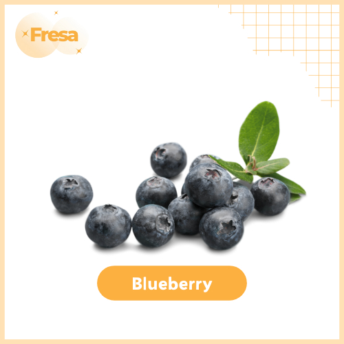 

Blueberry Import 125gr Fresh & Sehat | Fresa Mart