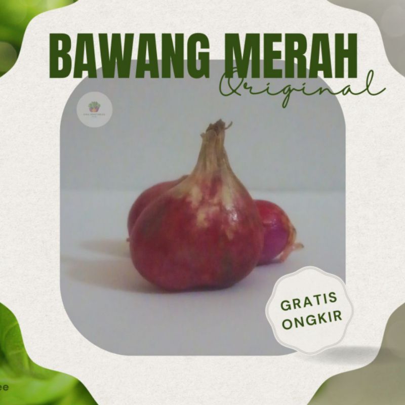 

Bawang Merah Murah Berkualitas - 100/250G