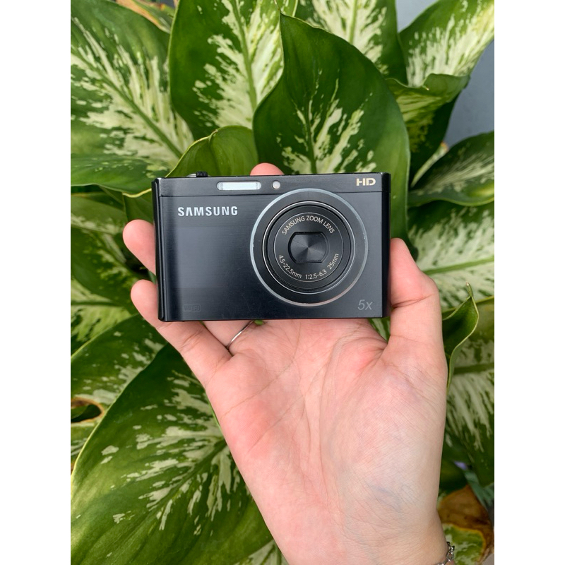 SAMSUNG DV300F