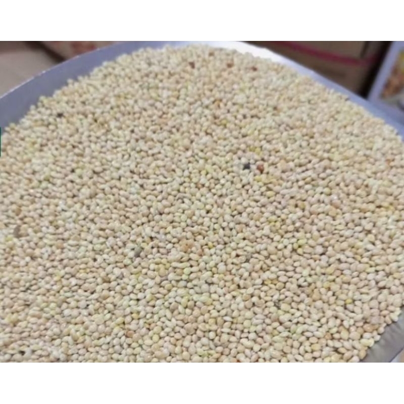 Milet Putih  Pakan Burung Kemasan 1 kg (Burung perkutut, dekuku, puter, LoveBird parkit kenari branj