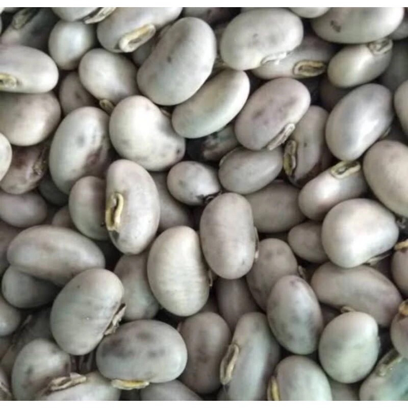 

koro benguk/kacang koro kering mentah bersih bijian/kg