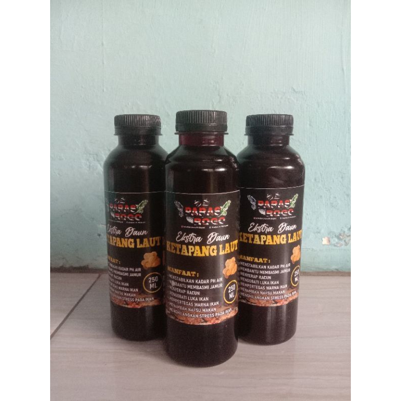 Air Extra Daun Ketapang Laut Super Pekat