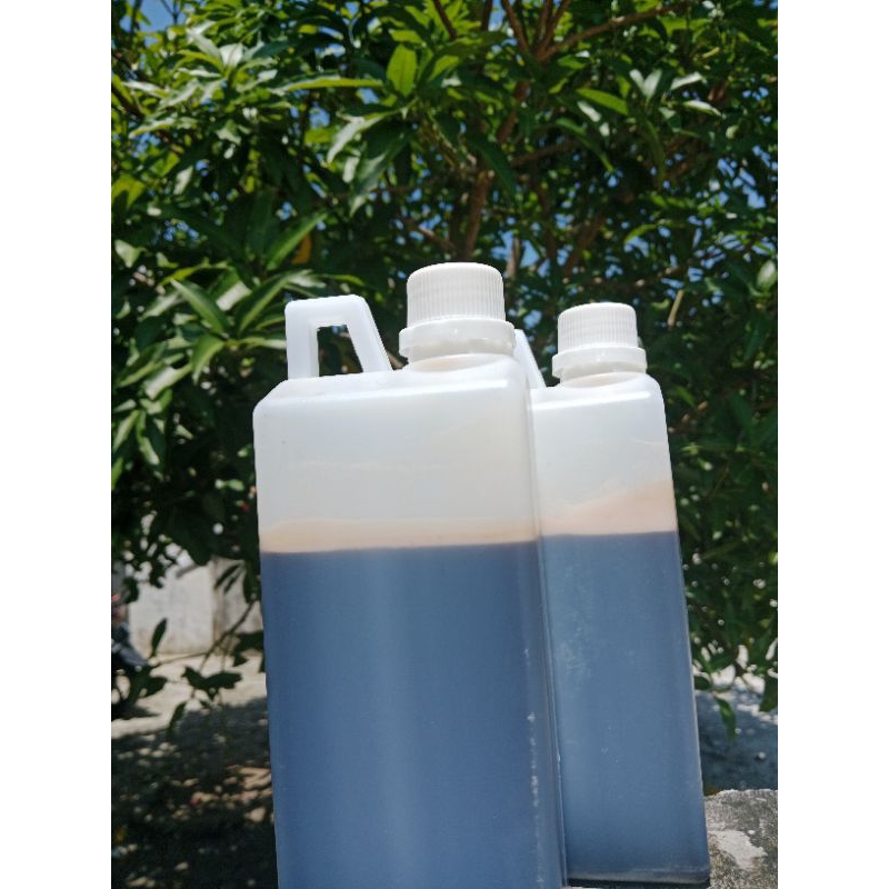 

Madu Melifera Akasia 1 kg Pekanbaru Riau