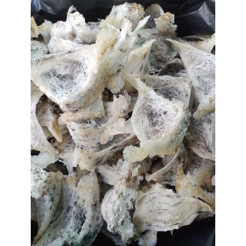 

Sarang Walet Sudut kotor 100Gr