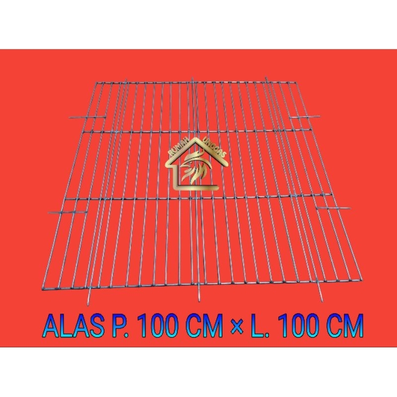 GALVANIS ALAS KANDANG PEMBESARAN DAN DEWASA