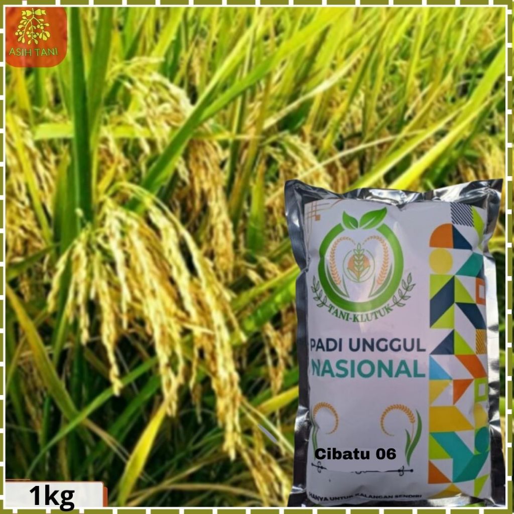Benih Padi Cibatu 06 Bibit Padi Kemasan 1kg