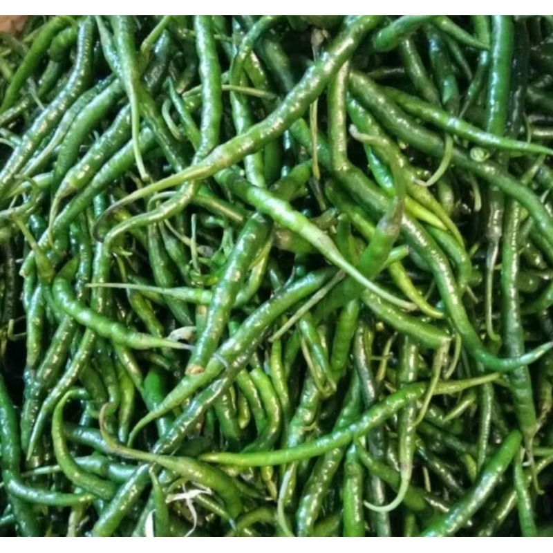 

cabe hijau besar