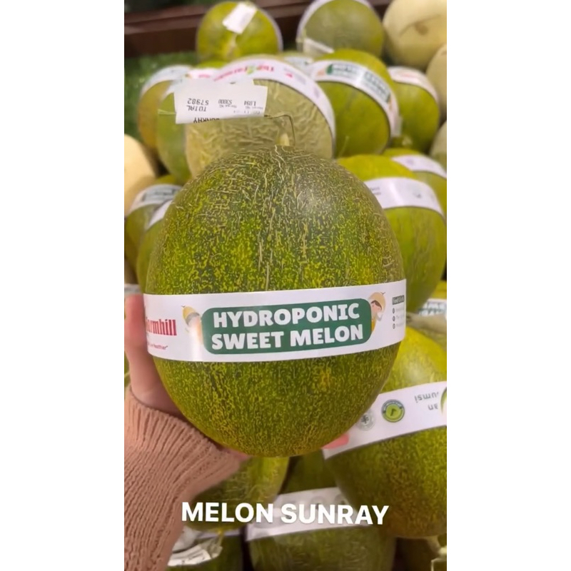 

Melon sunray / order wajib chat dulu karna harus ditimbang