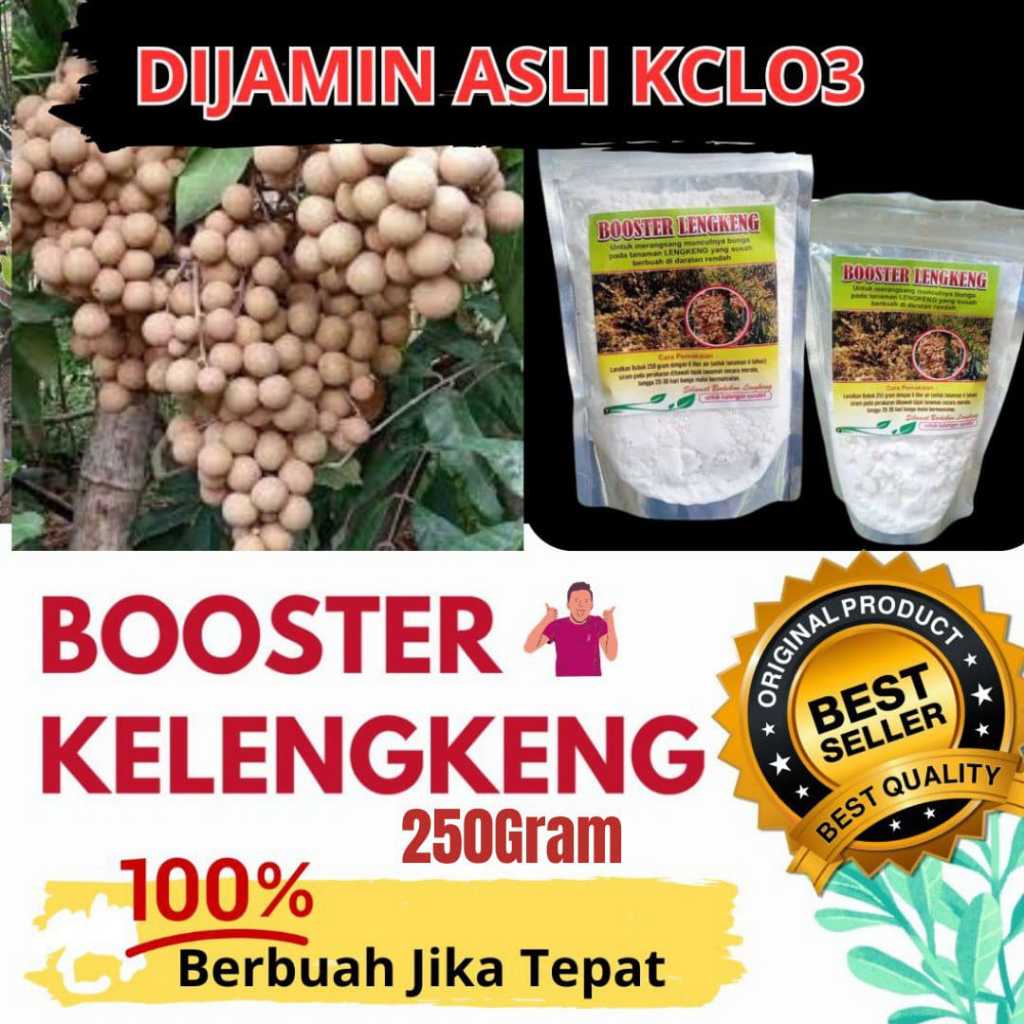 Booster kelengkeng cepat berbuah, Booster kelengkeng kclo3 murni,  Booster kelengkeng murni