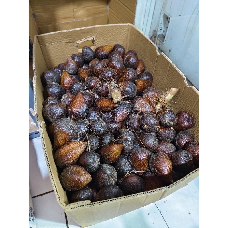 

salak pondoh asli jogja