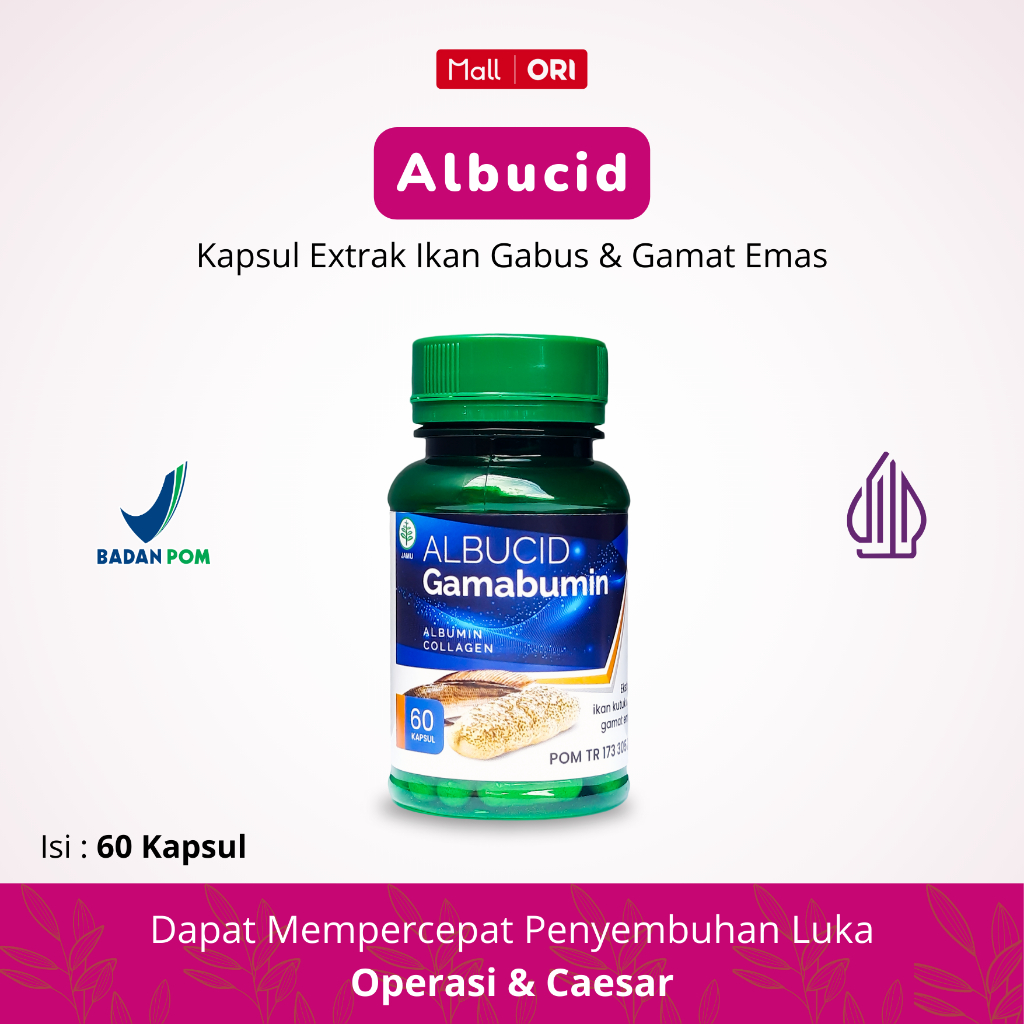 Albucid Gamabumin Kolagen Suplemen Albumin Collagen Ekstrak Ikan Gabus Kutuk dan Gamat Emas