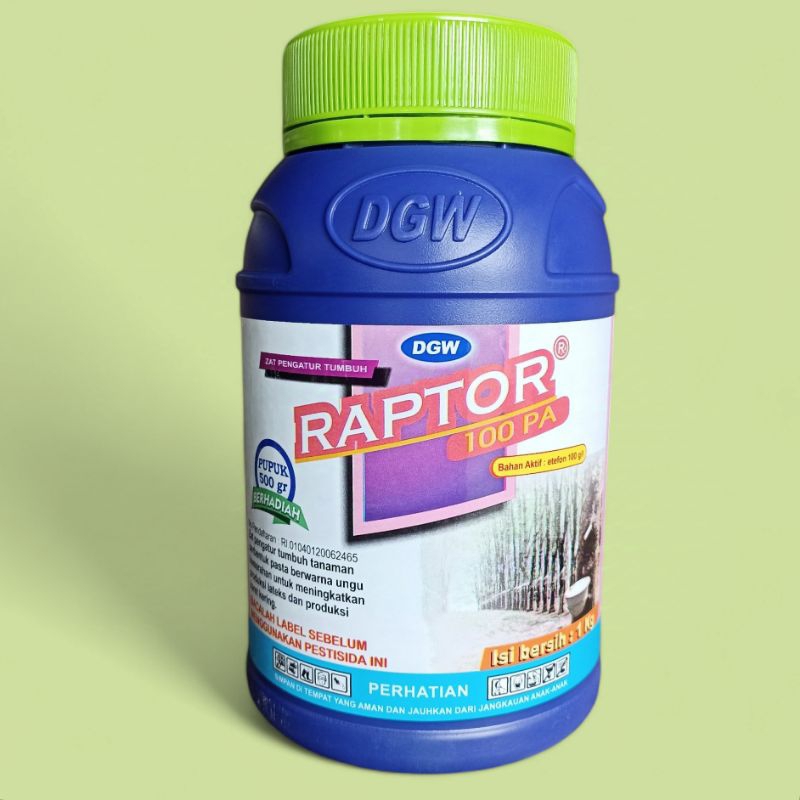 RAPTOR 100 PA 1KG/ZPT RAPTOR 100 PA/ZPT PENAMBAH GETAH KARET
