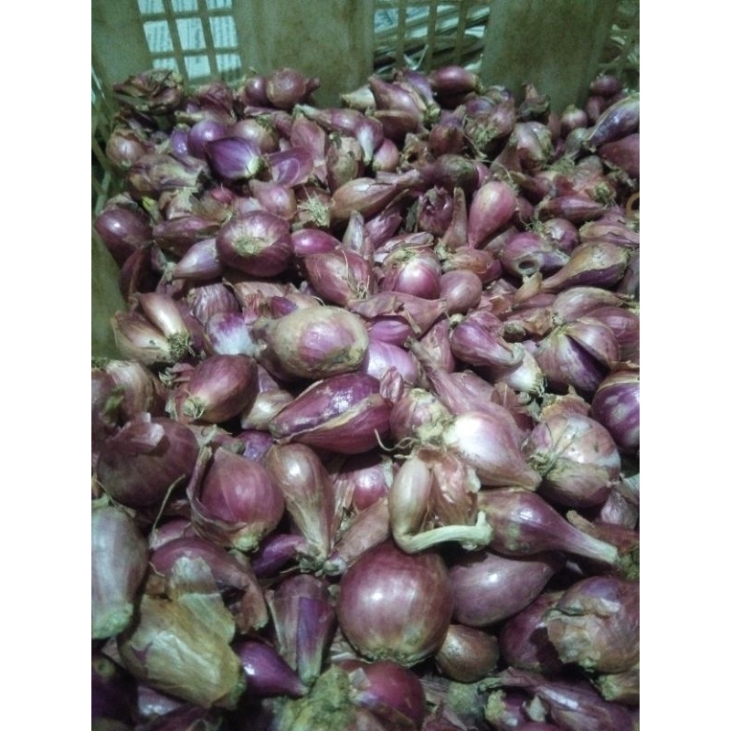 

Bawang Brebes Tanggung campur 1KG