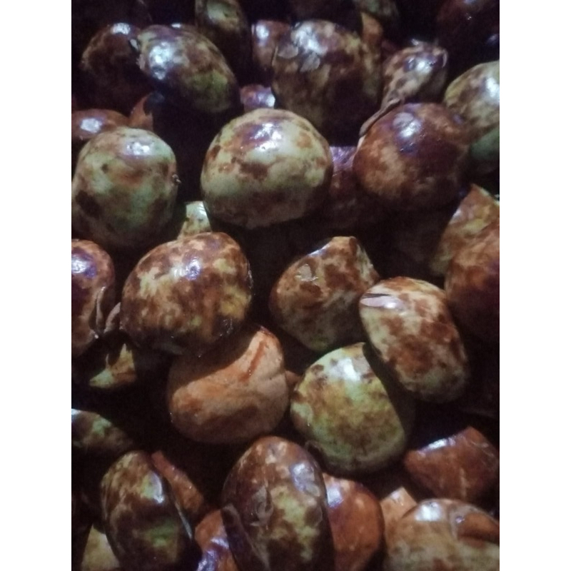 

jengkol tua rendangan