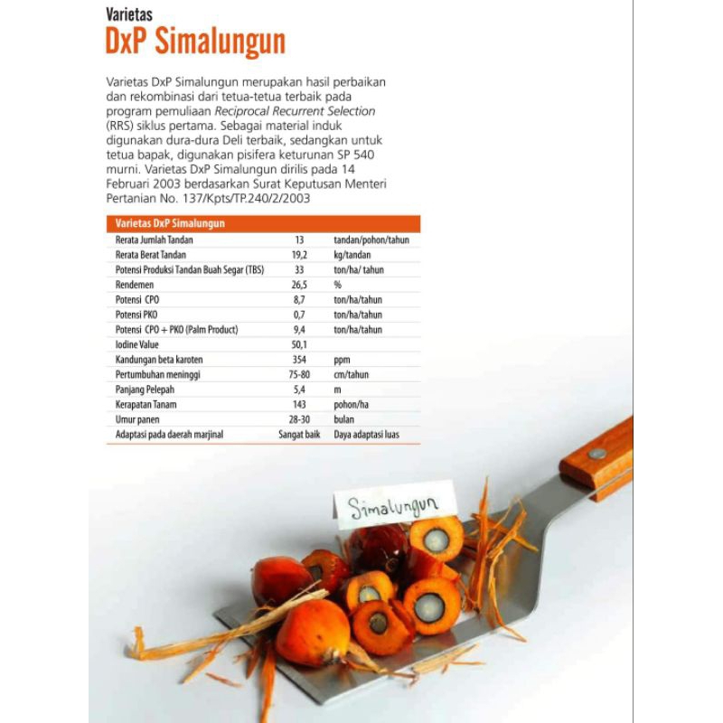 KECAMBAH SAWIT SIMALUNGUN