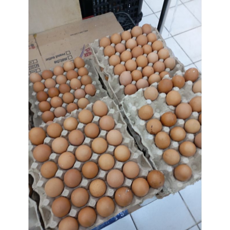 

telor ayam 1 papan isi 30