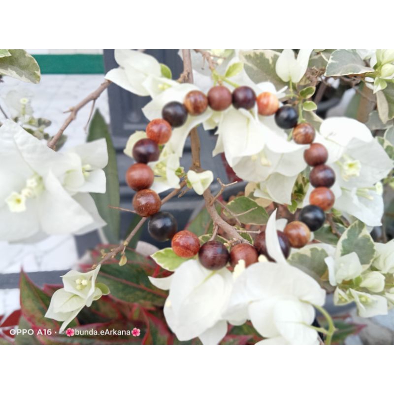 gelang kombinasi kayu bertuah