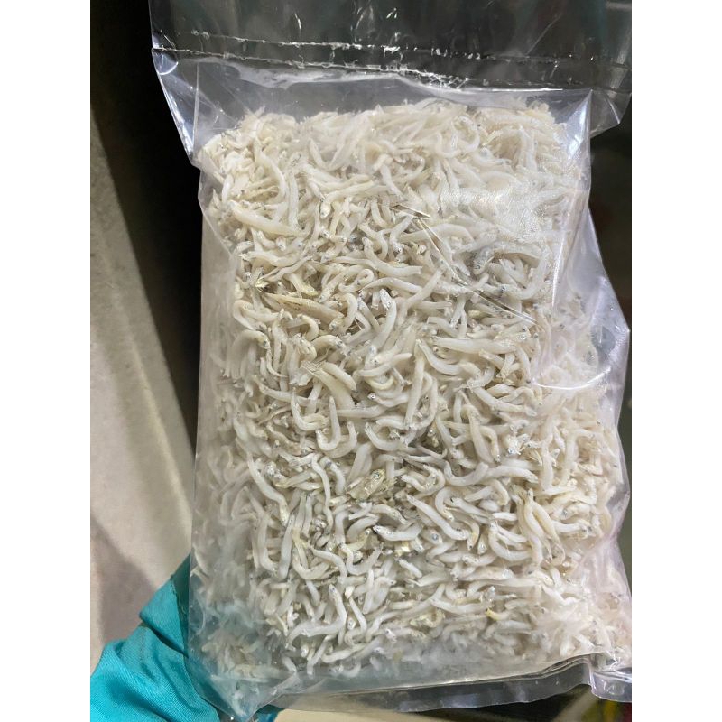 

TERI NASI/TERI PUTIH/IKAN KERING KECIL-KECIL