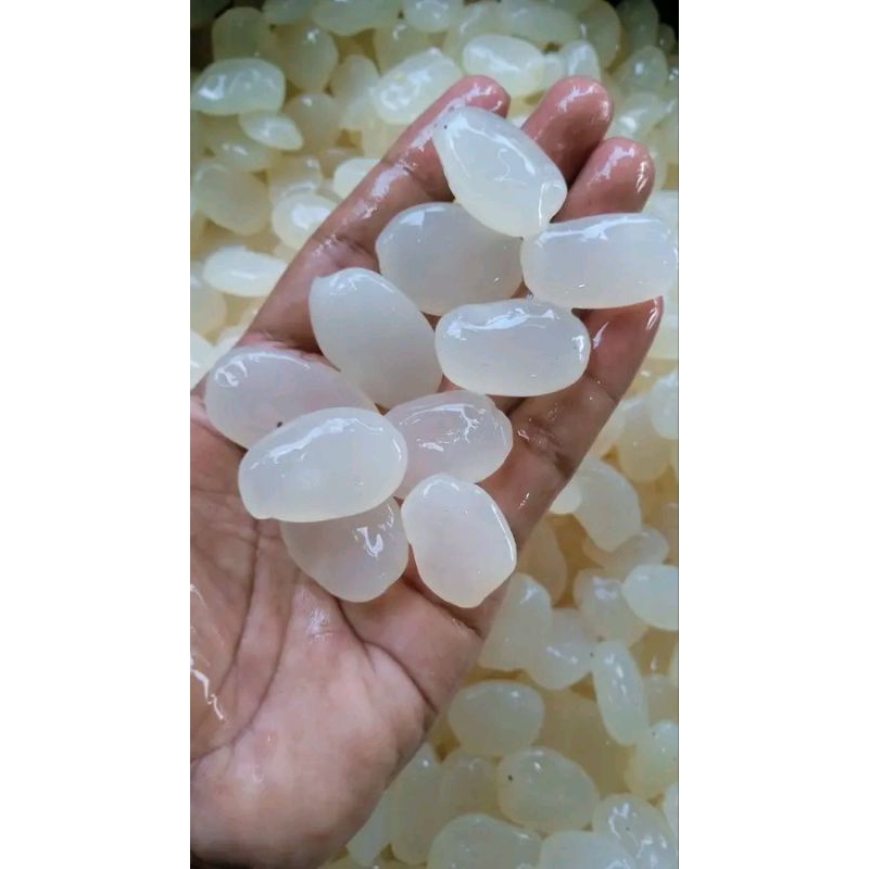 

Koang Kaling 1 kilo Bahan manisan