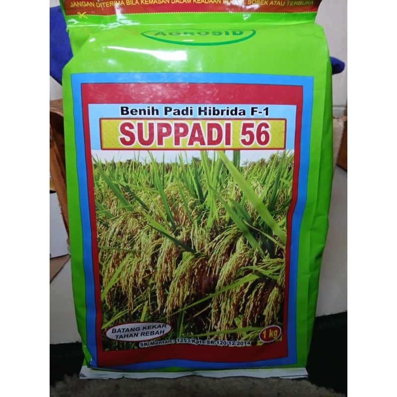 Padi Supadi 56 Hibrida