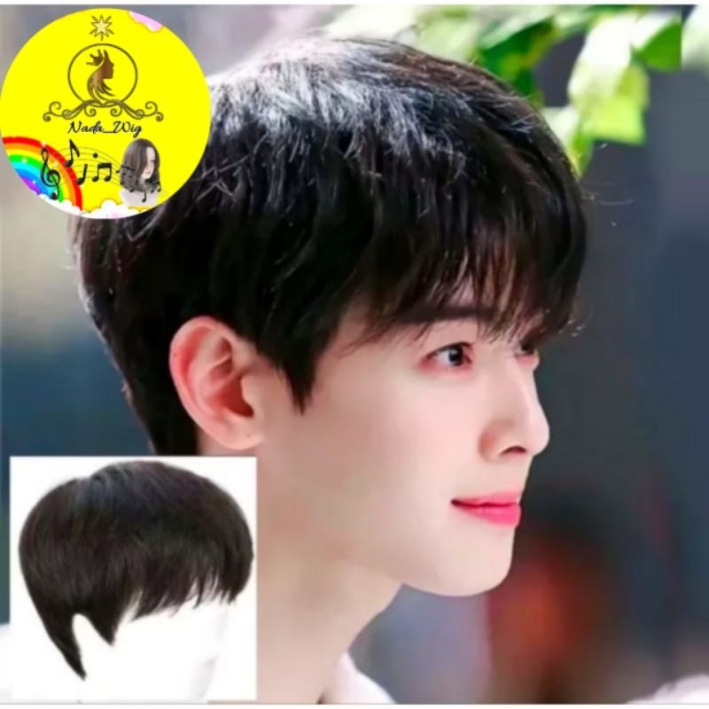 WIG PENDEK COWOK WIK RAMBUT PALSU PRIA WIG COWOK KOREA STYLE