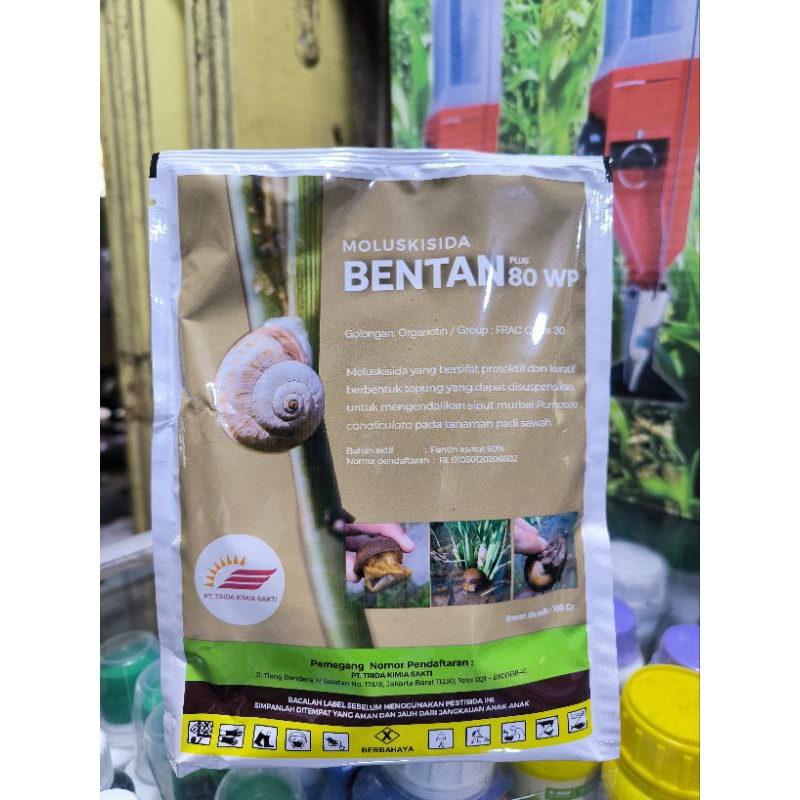 Moluskisida Bentan 80wp