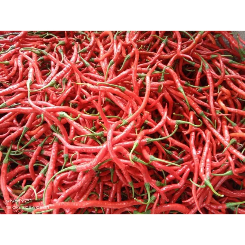 

CABE MERAH KERITING [ 1KG ]