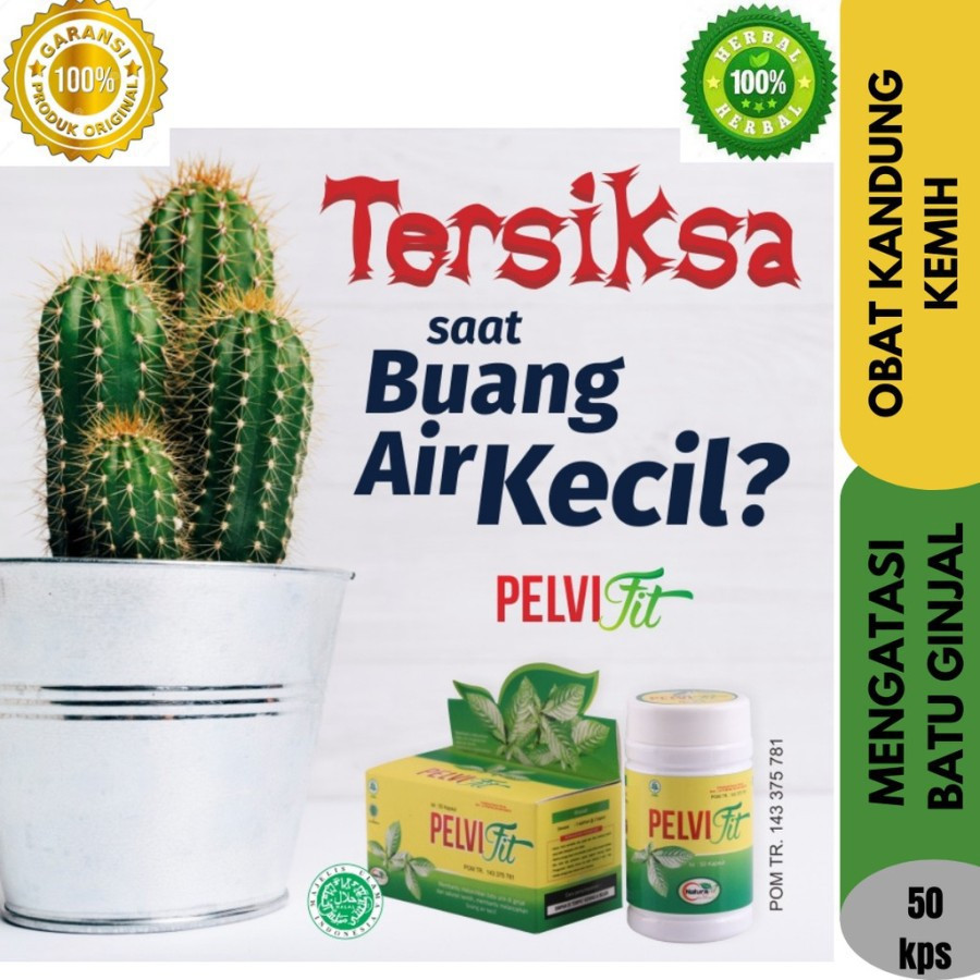 Pelvifit Original Naturafit 50 Kapsul Obat Herbal Batu Ginjal, Batu Empedu, Batu Kandung Kemih, Mera