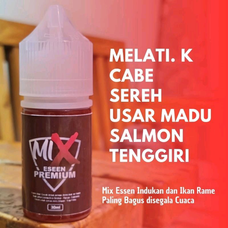 Essen Cabe Melati Sereh Usar Salmon Tenggiri/Mix Essen Lomba Harian-252