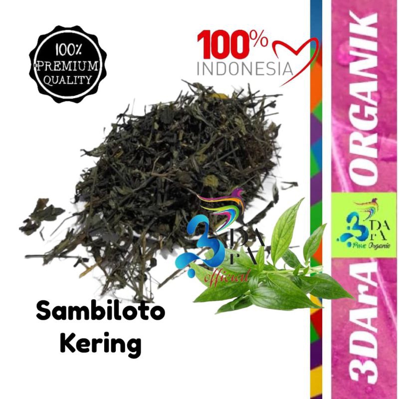 

Sambiloto Kering - Sambiroto Premium Murni Tanpa Campuran