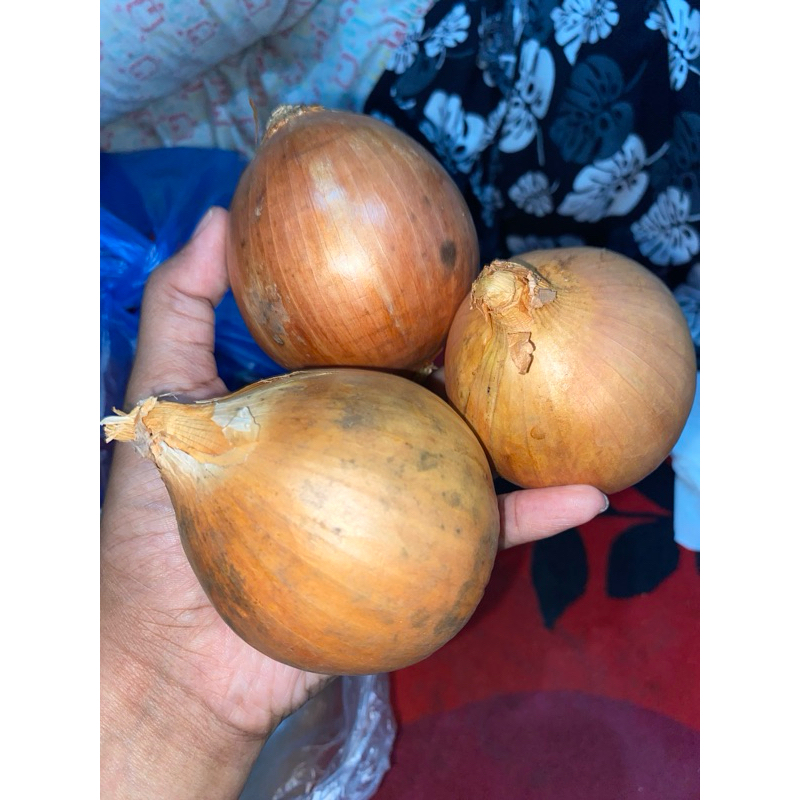 

bawang bombay besar 1Kg