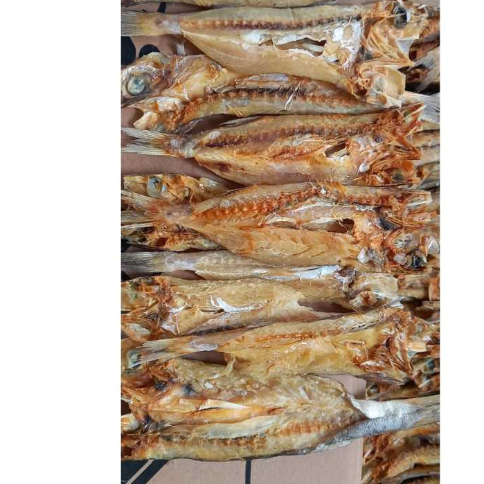 

COD ikan asin kocol belah super 1 kg murah