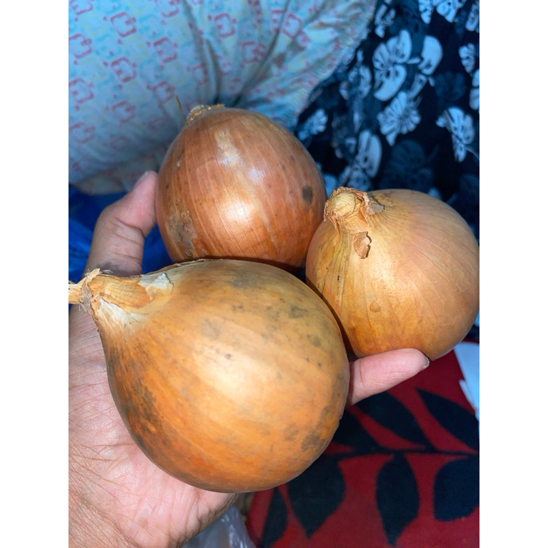 Bawang bombay Kecil 1Kg