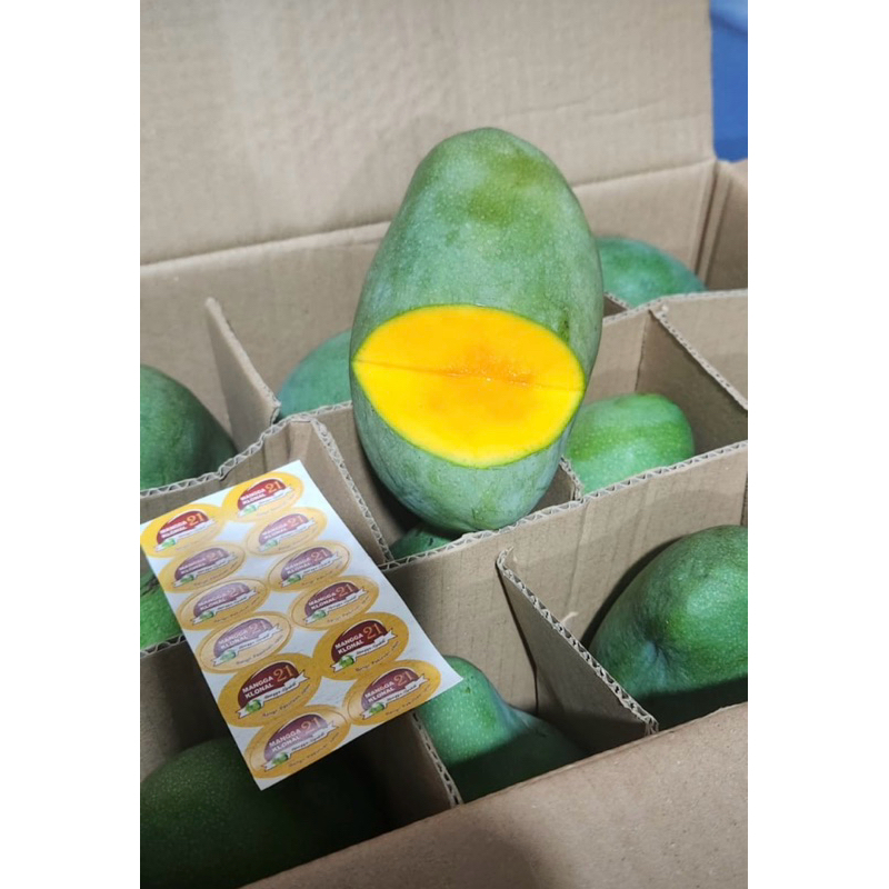

Mangga Alpukat Grade A premium isi 11-12