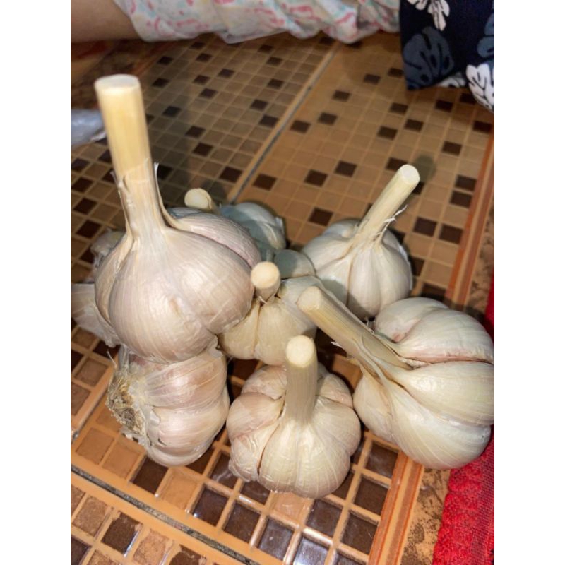 

Bawang putih kating impor 1Kg