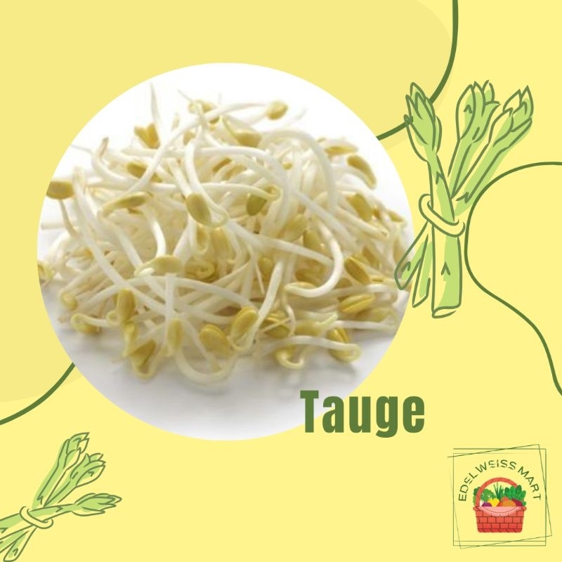 

TAUGE/TOGE/CAMBAH/KECAMBAH 100g (FRESH) - INSTANT SEMARANG