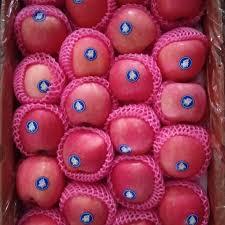 

Buah Apel Fuji Manis Garing Jus Mantap 500 - 1 kg