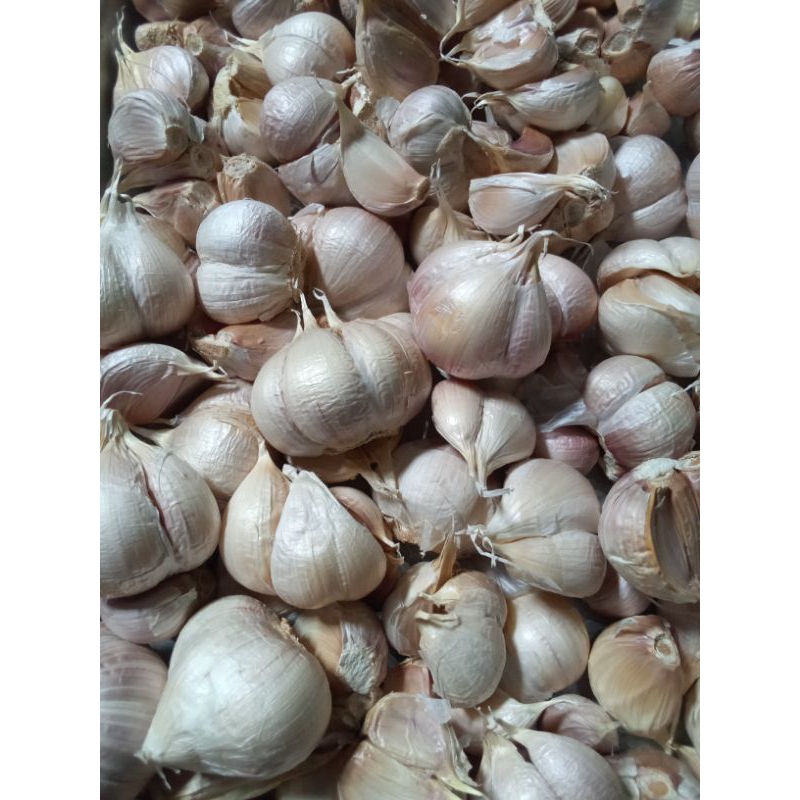 

Bawang putih kating 500gr 1kg